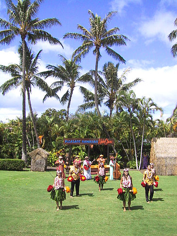Hula Show Fotos