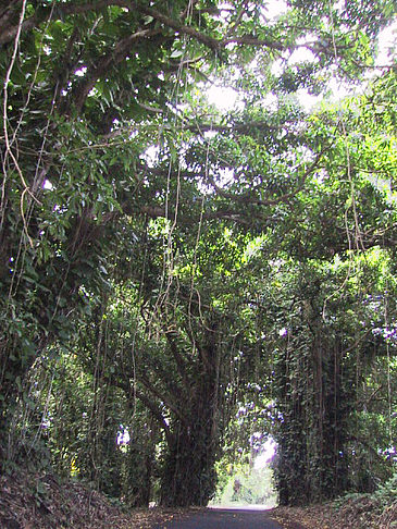 Fotos Straßen auf Hawaii