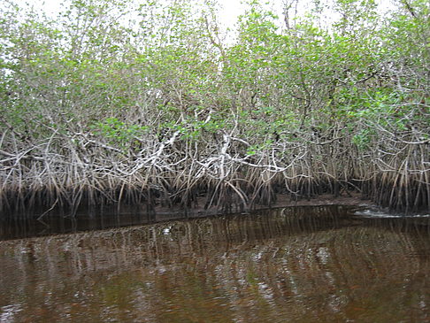 Fotos Fluss | 