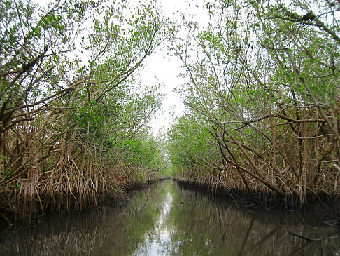 Fotos Fluss | 