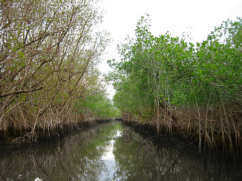 Fluss