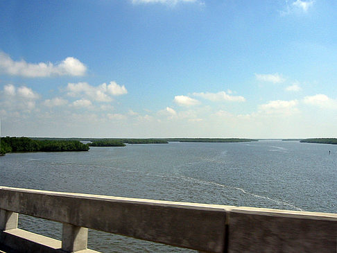 Straßenrand auf Marco Island Fotos