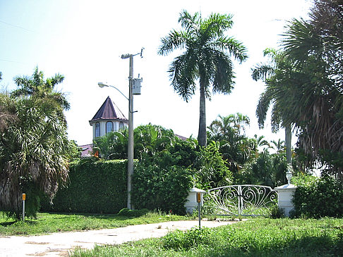 Foto Straßenrand auf Marco Island