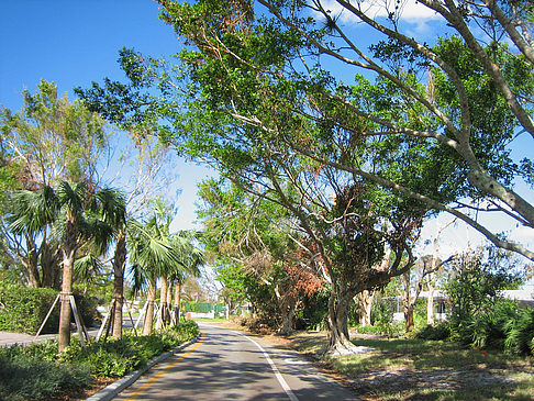 Straße Fotos