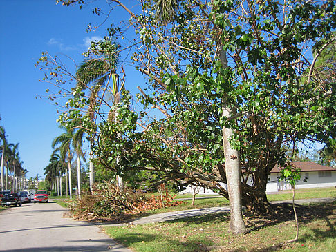 Fotos Straße | 