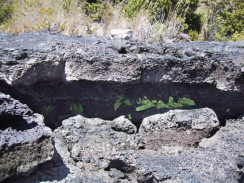 Erstarrte Lava Fotos