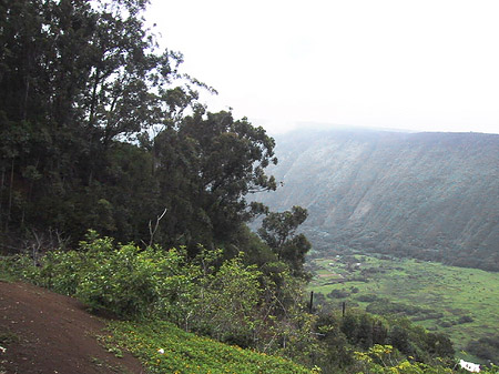 Hawaiis Küste Fotos