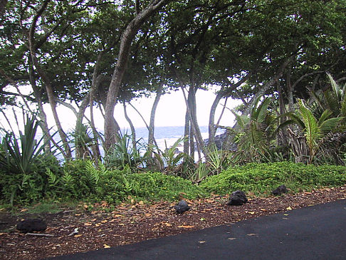 Foto Hawaiis Straßenränder - 