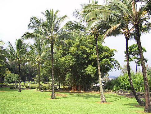 Fotos Hawaiis Straßenränder | 