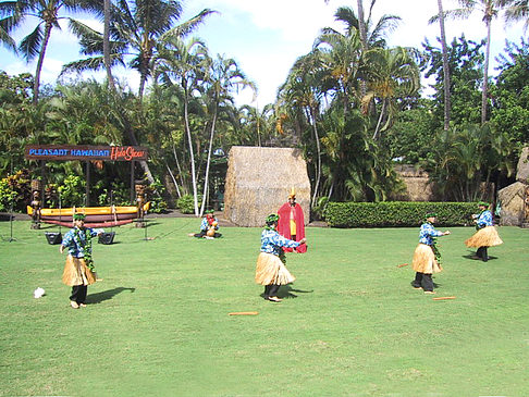 Fotos Hula Show