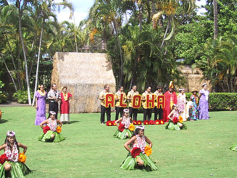 Fotos Hula Show | 