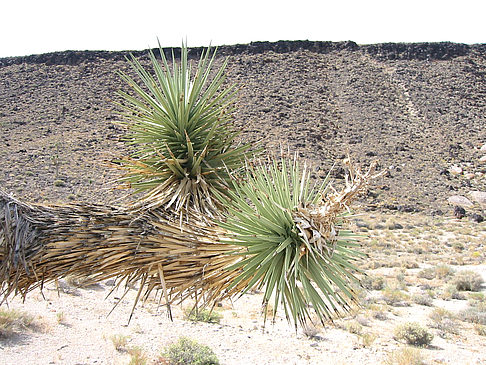 Fotos Lone Pine - Panamint Springs
