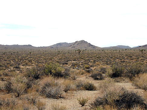 Foto Lone Pine - Panamint Springs - 