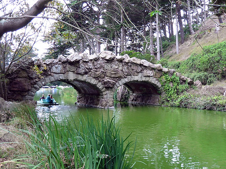Foto Golden Gate Park mit Botanischen Garten - San Francisco