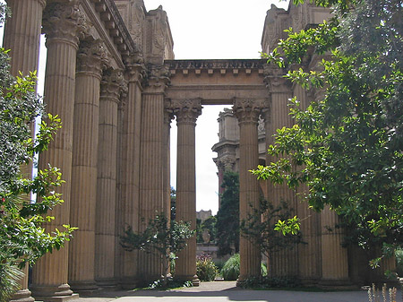 Foto Palace of Fine Arts - 