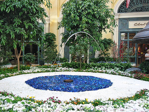 Fotos Hotel Bellagio | Las Vegas